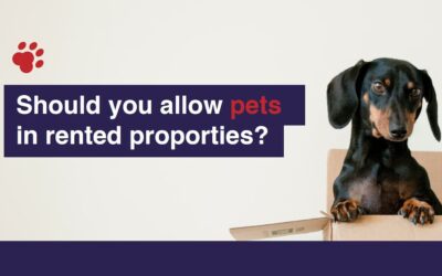 Pros and Cons of Being a Pet-Friendly Landlord