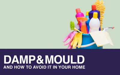 Damp, Mould, and How To Avoid It In Your Home