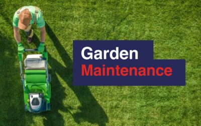 Garden Maintenance in Rented Property