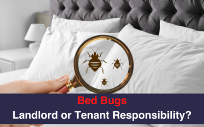 Bed Bugs: Landlord or Tenant Responsibility?