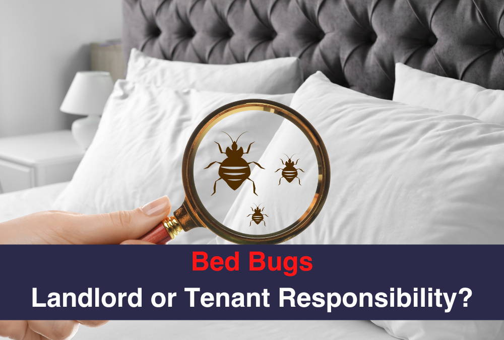 Bed Bugs: Landlord or Tenant Responsibility?